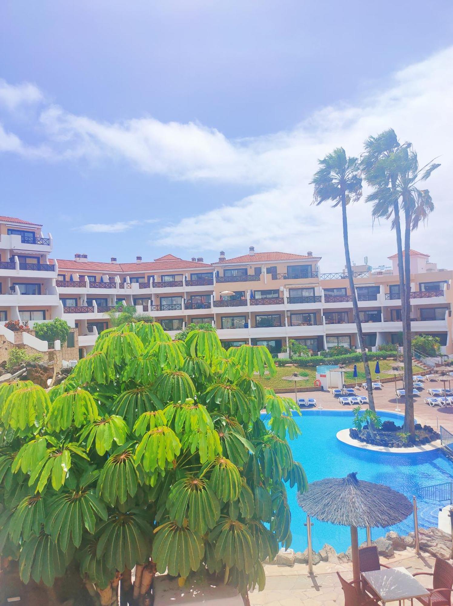 Lovely Apartment Top Views, Heated Pool, Great Location San Miguel de Abona Dış mekan fotoğraf