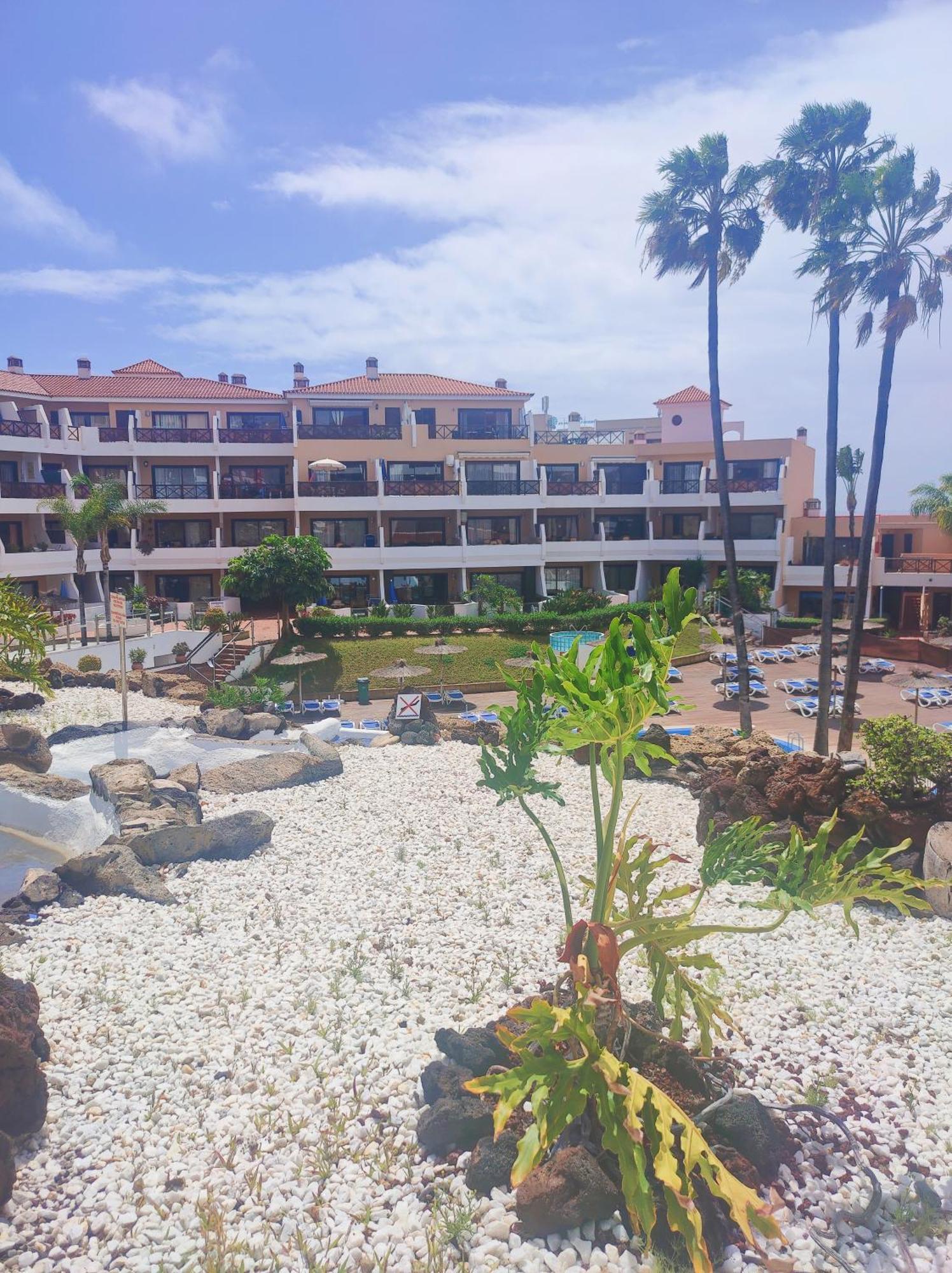 Lovely Apartment Top Views, Heated Pool, Great Location San Miguel de Abona Dış mekan fotoğraf